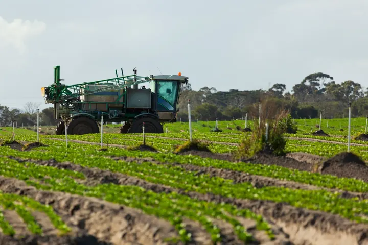 Insecticide Resistance in Commercial Agriculture | A Pest Monitoring Problem in Disguise