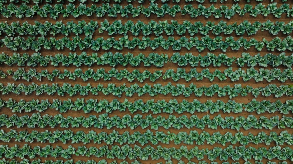 Farmsense - Understanding Pest Management and IPM