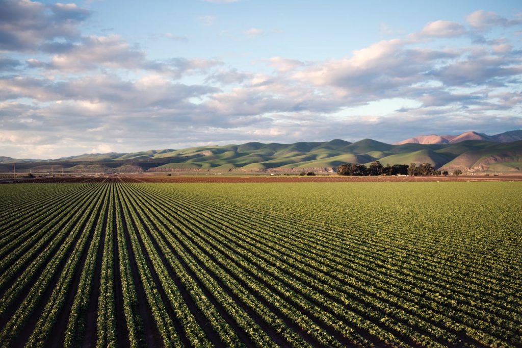 FarmSense Future of Biopesticides