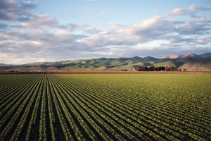 FarmSense Future of Biopesticides
